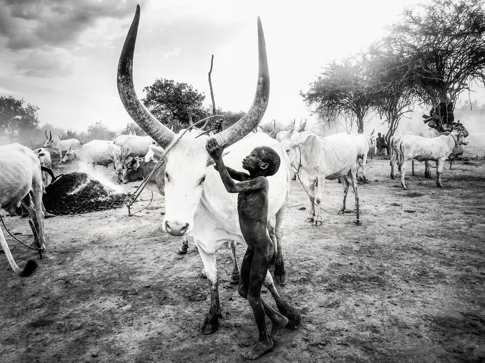 Фотография автора Svetlin Yosifov