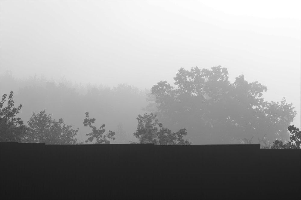 Photograph by Родосская Нонна