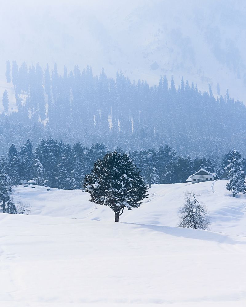 Photograph by Bhatt Muxamil