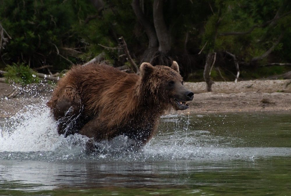 Фотография автора Рохмистрова Мария