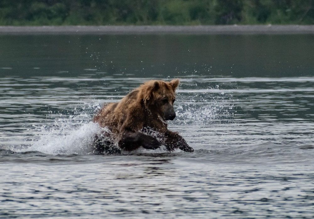 Фотография автора Рохмистрова Мария