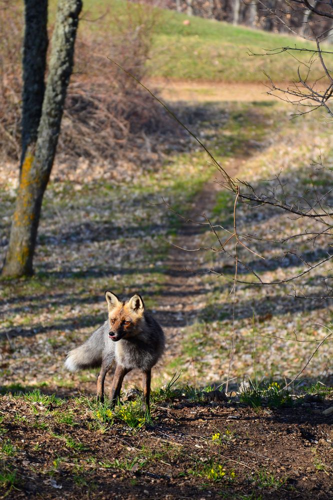 Photograph by Анатолий Орлов