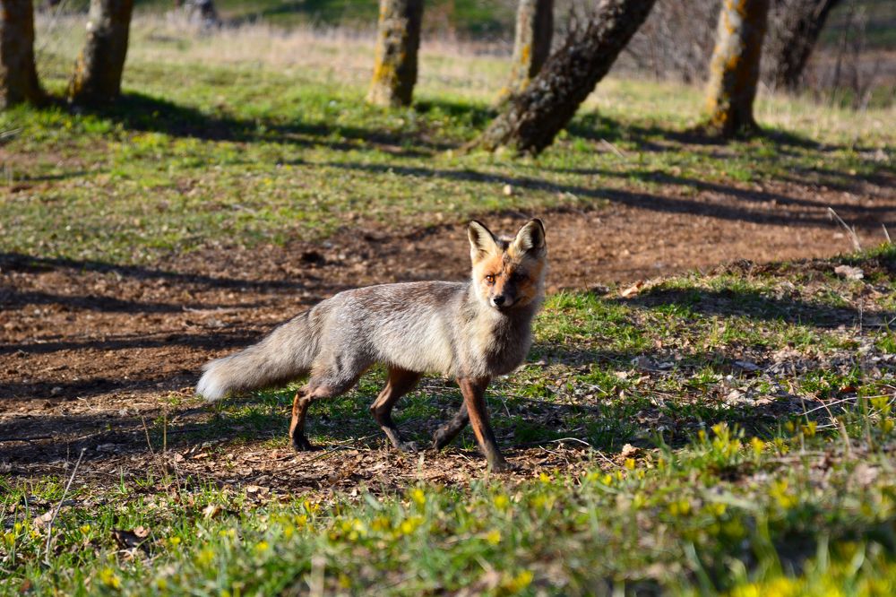 Photograph by Анатолий Орлов