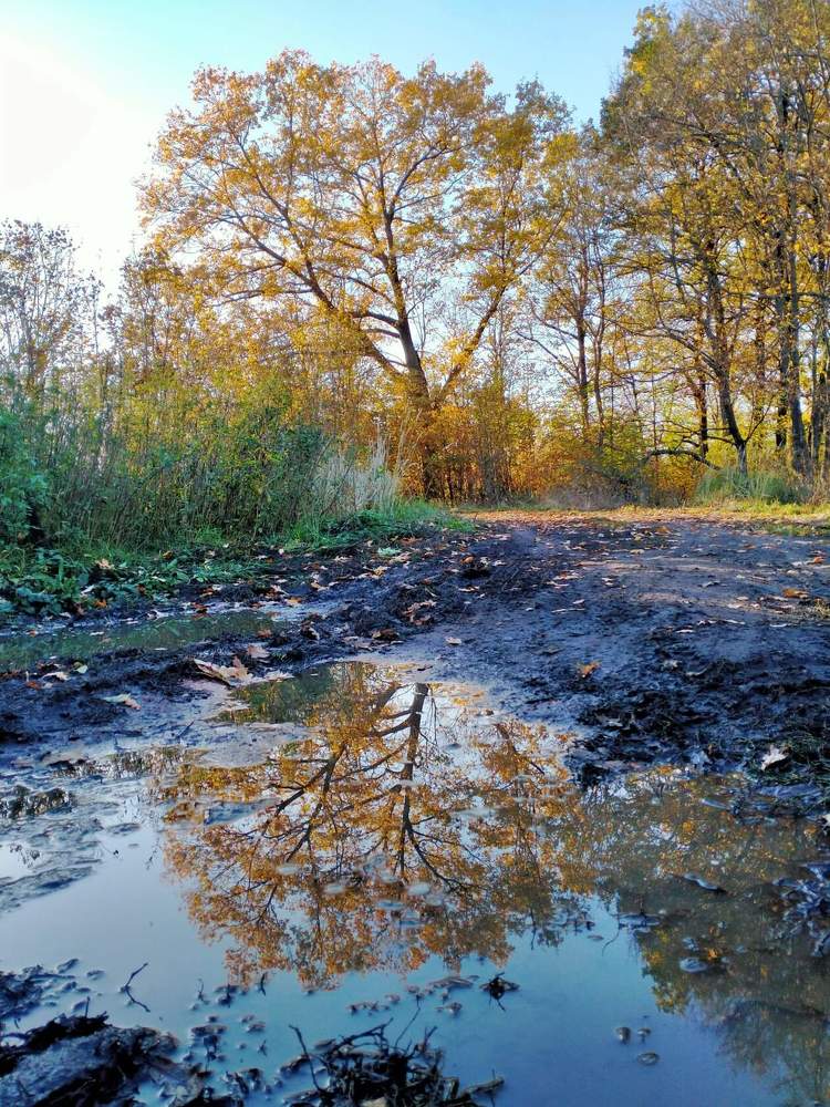 Photograph by Наталья Давыдова