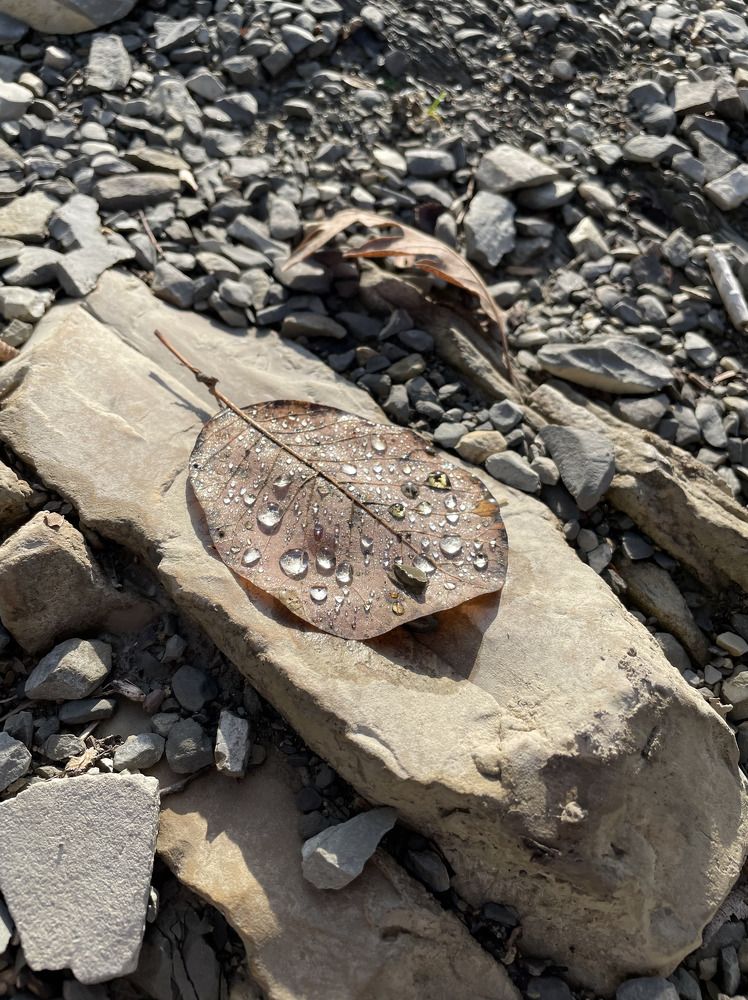 Photograph by Татьяна