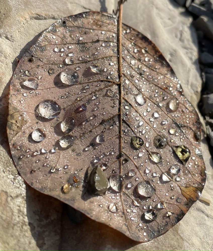 Photograph by Татьяна