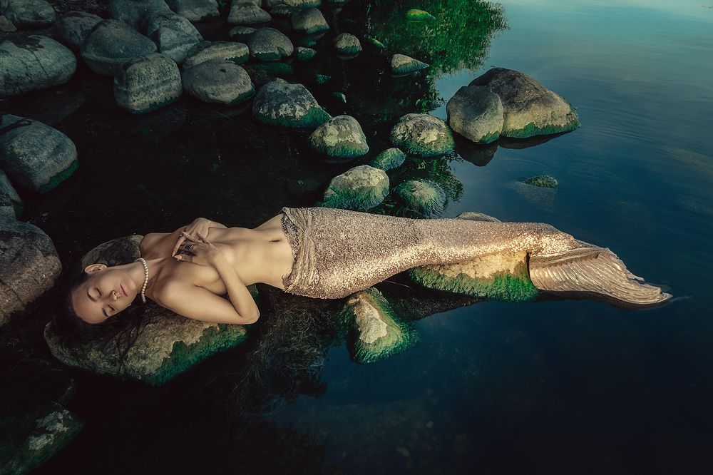 Photograph by Jonny Casle