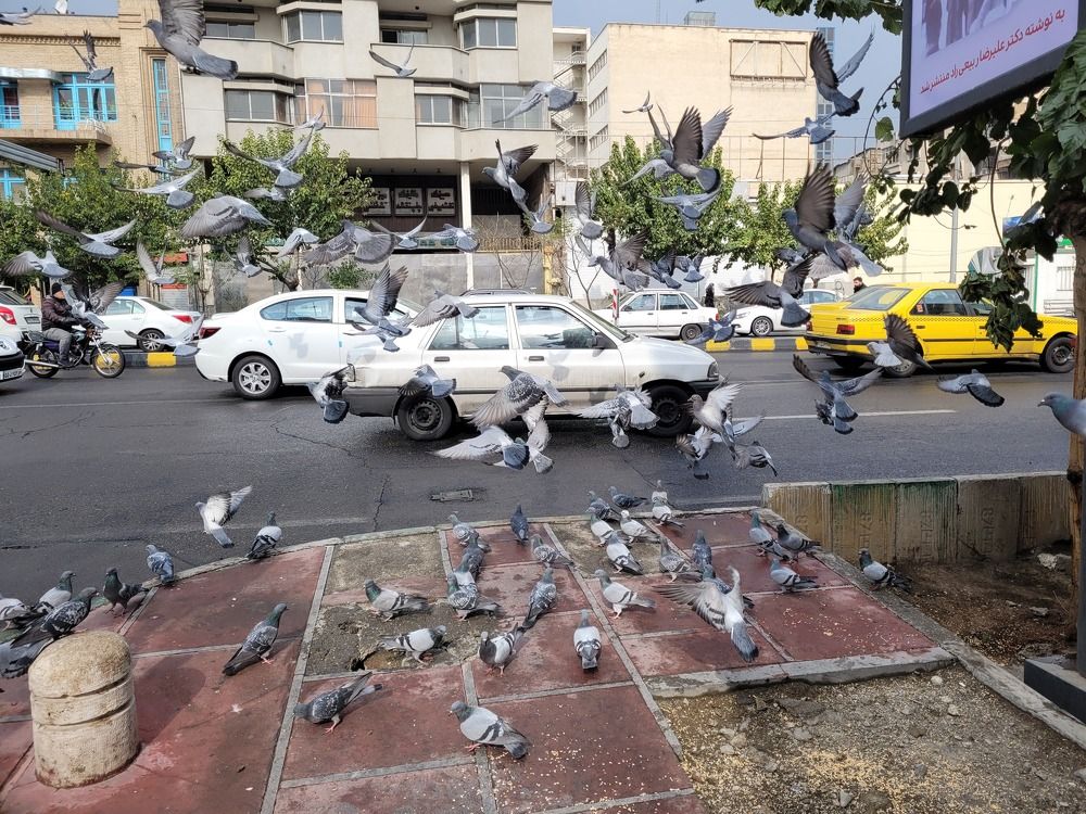 Photograph by Rahele Almassi