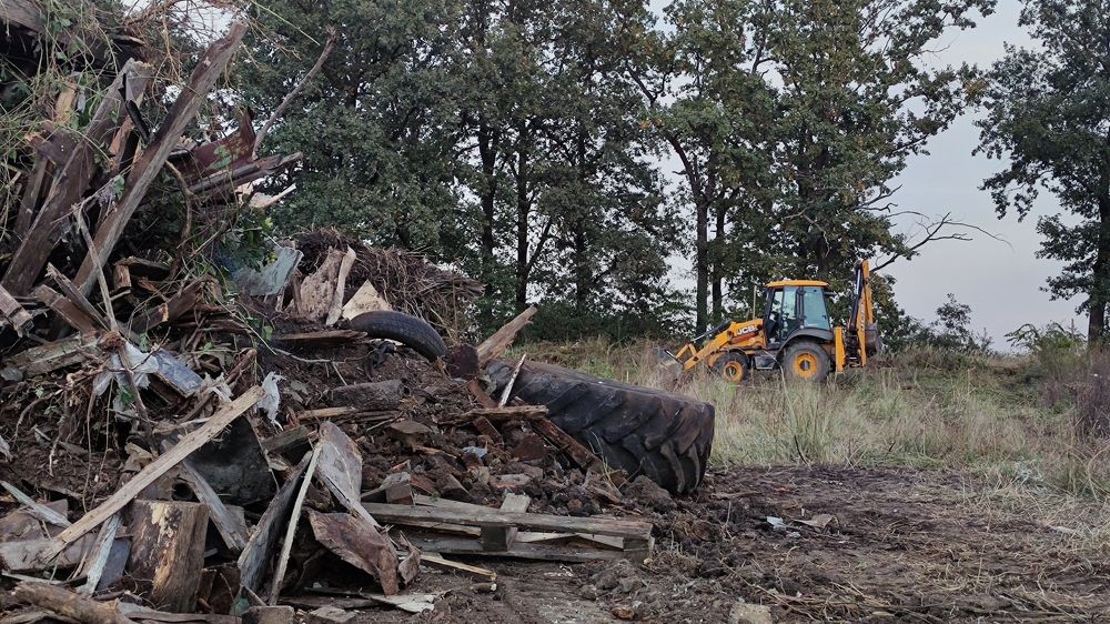 Photo #8537501