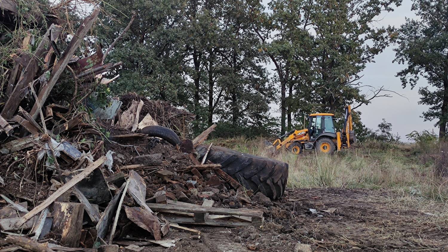 Photo #8537501