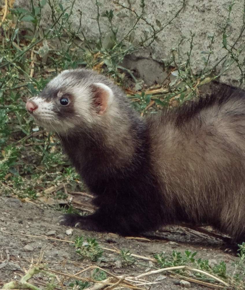 Photograph by Анжелика Трошина