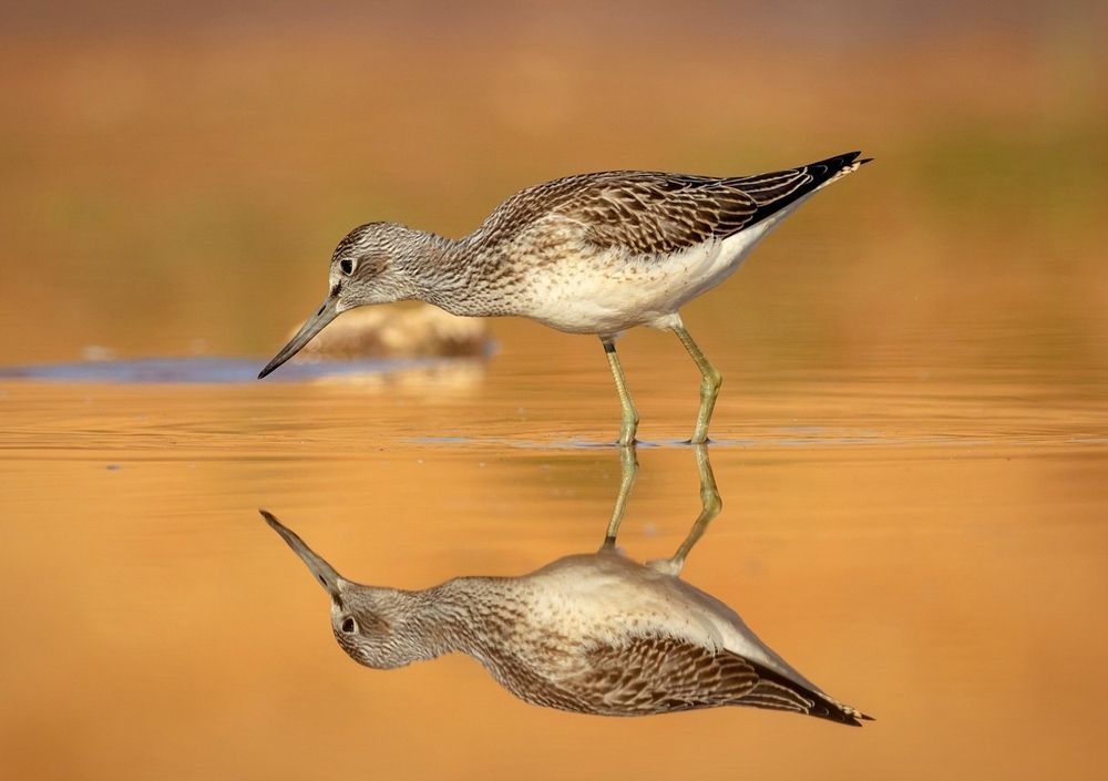 Photograph by Павел Краснослободцев