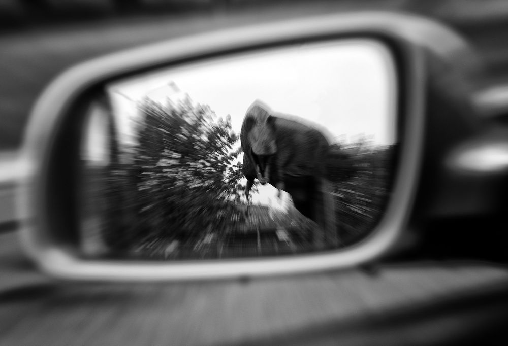 Photograph by Klejnot Grzegorz