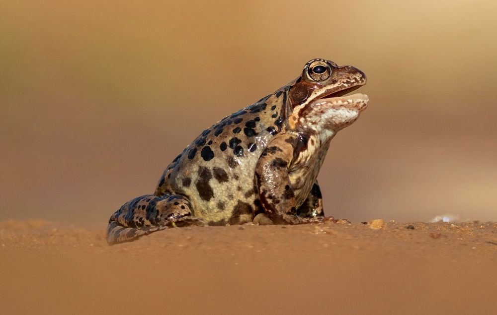 Photograph by Павел Краснослободцев