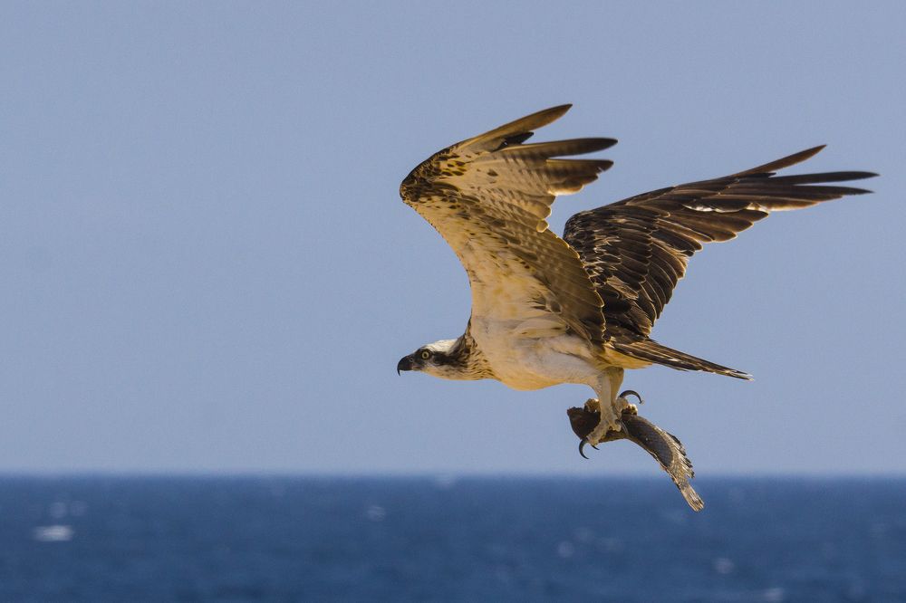 Photograph by Александр