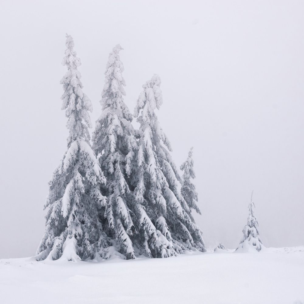 Photograph by Овчинников Дмитрий