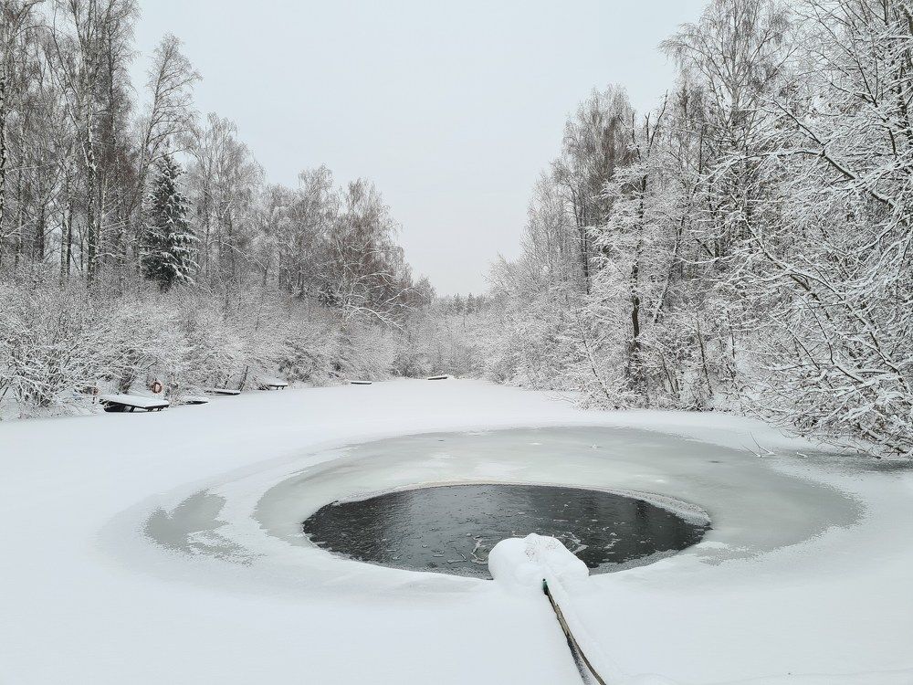Photo #8537685