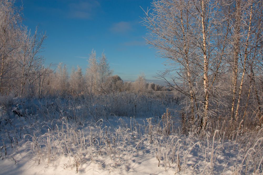 Photograph by Ершов Сергей