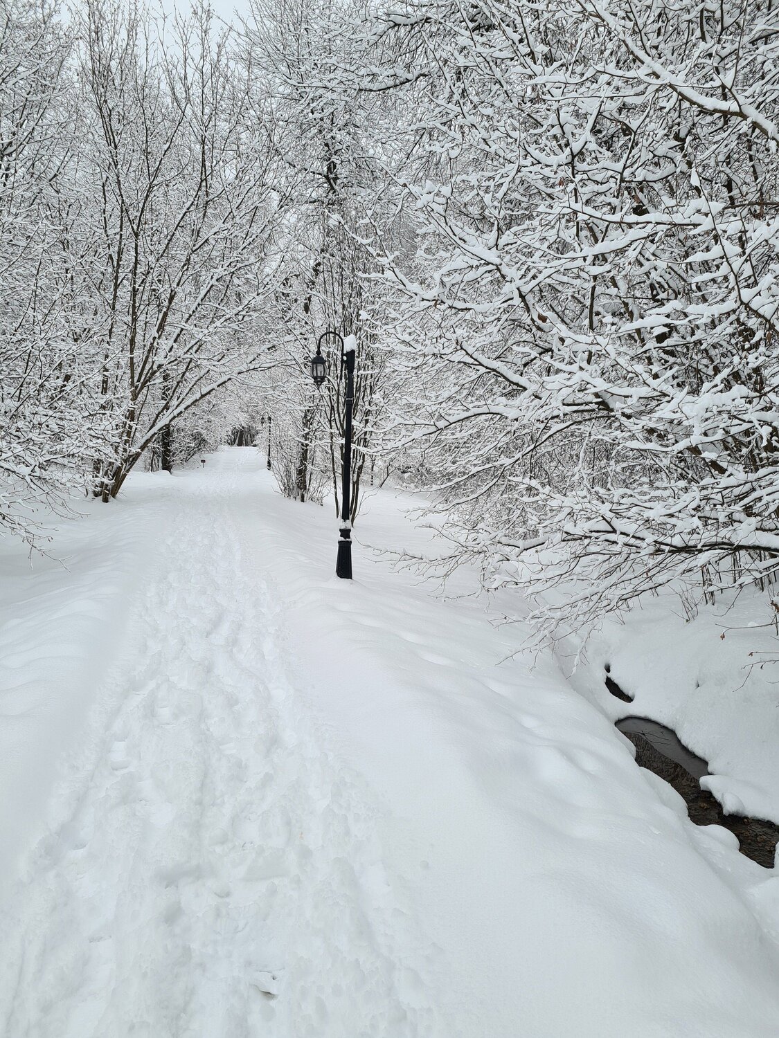 Photo #8537687