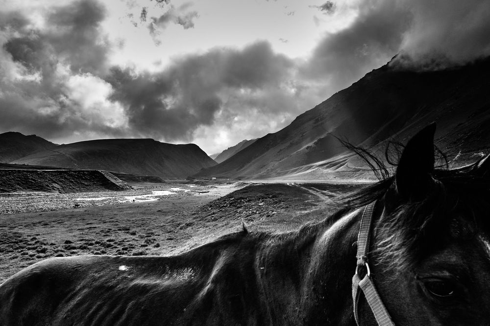 Photograph by Loptev Andrey