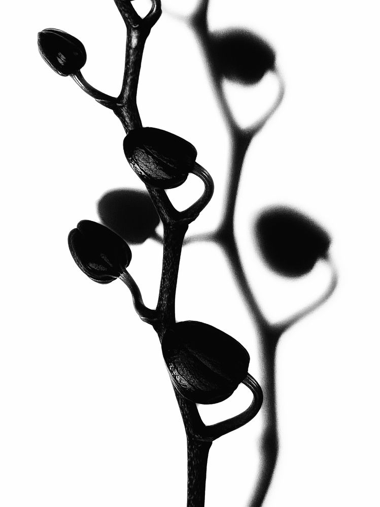 Photograph by Андрей Васильев