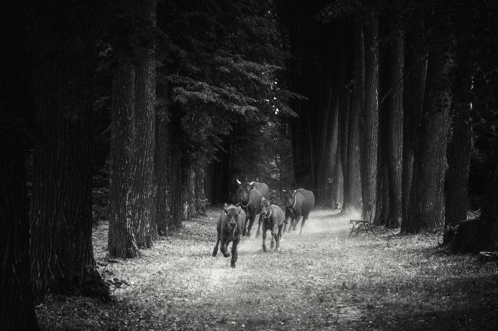 Photograph by Андреев Алексей