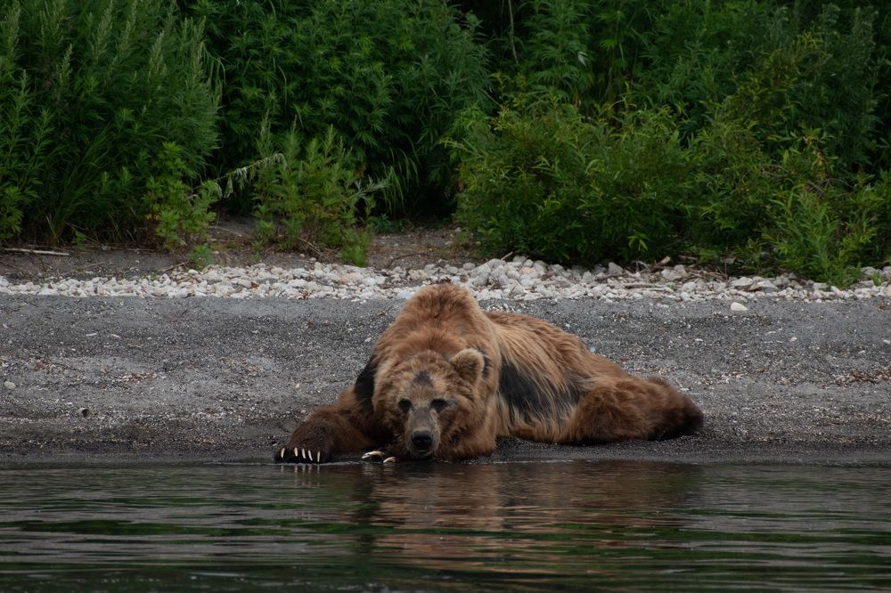 Фотография автора Рохмистрова Мария