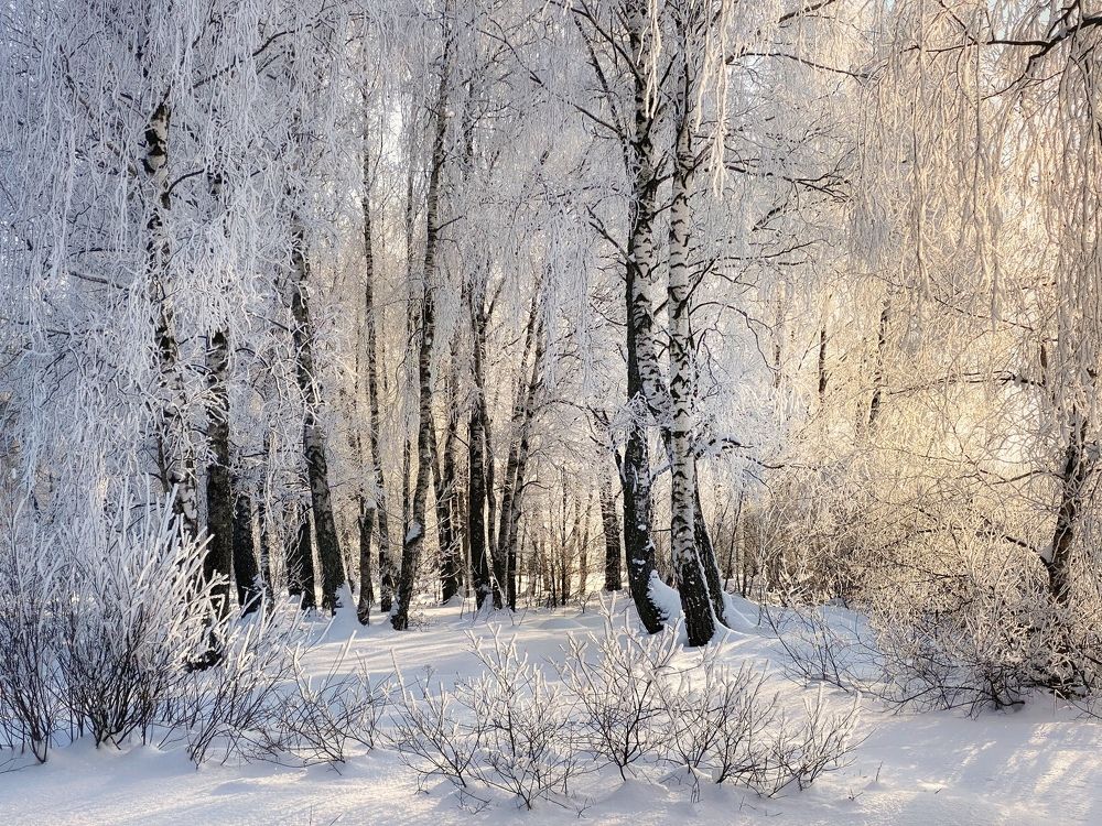 Photograph by Мозжухин Максим