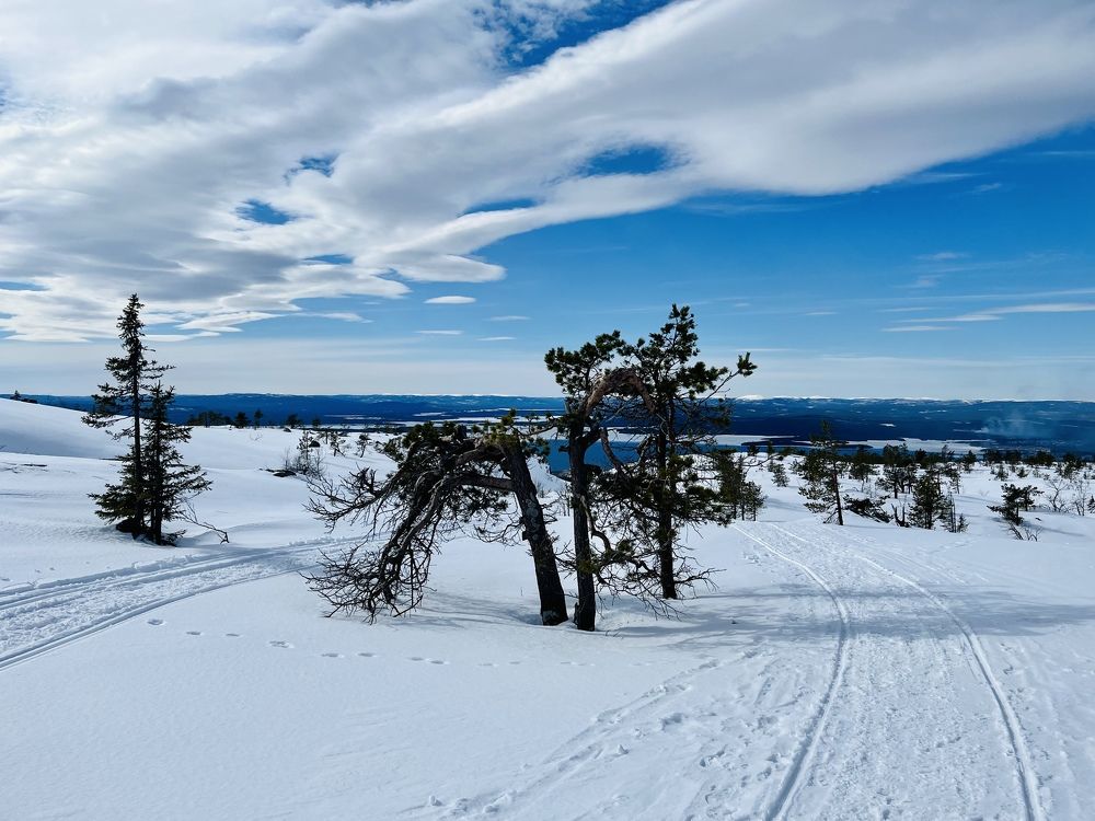 Photograph by Юлия Казимирова