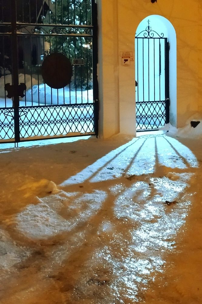 Photograph by Ольга Заповедная