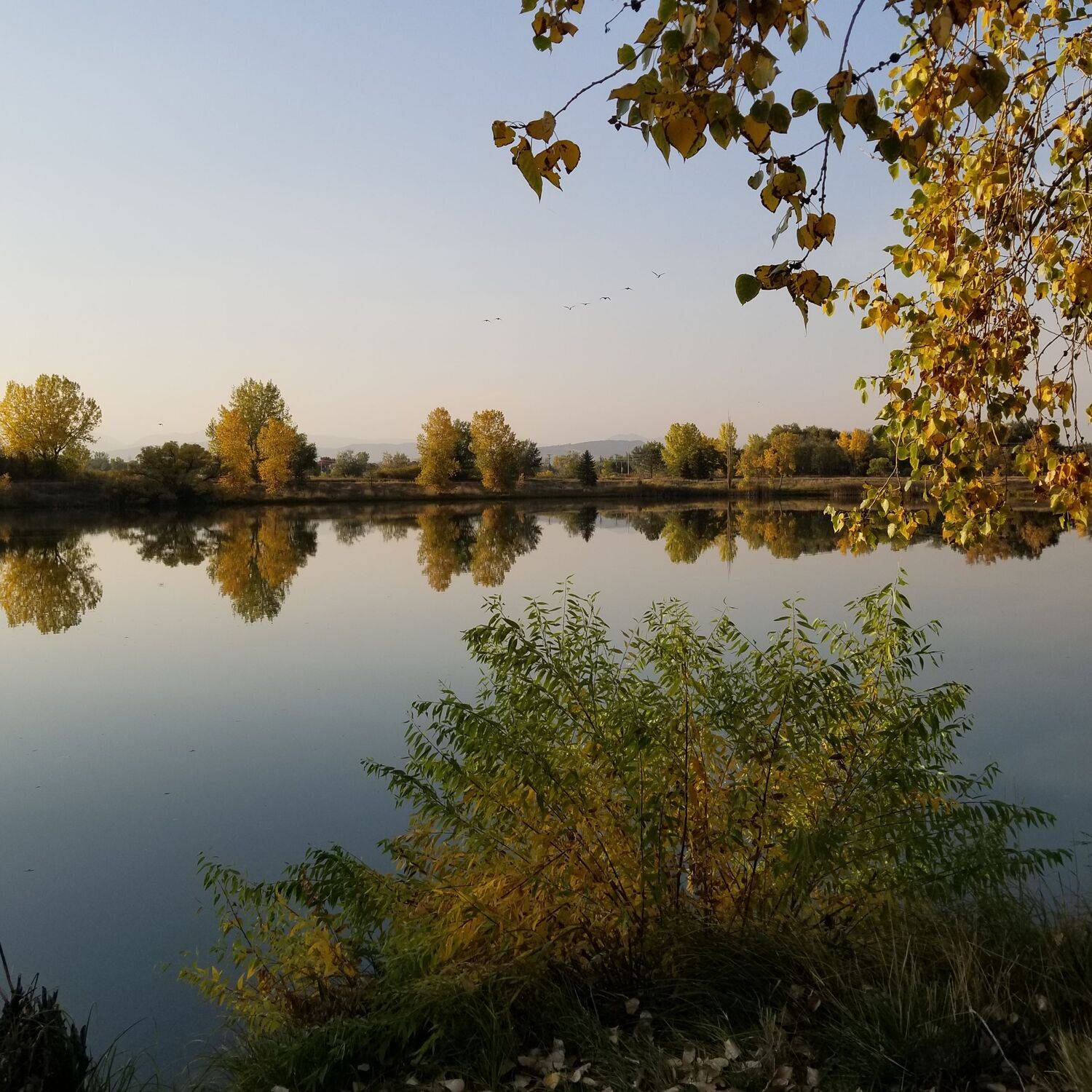 Photo #8537940