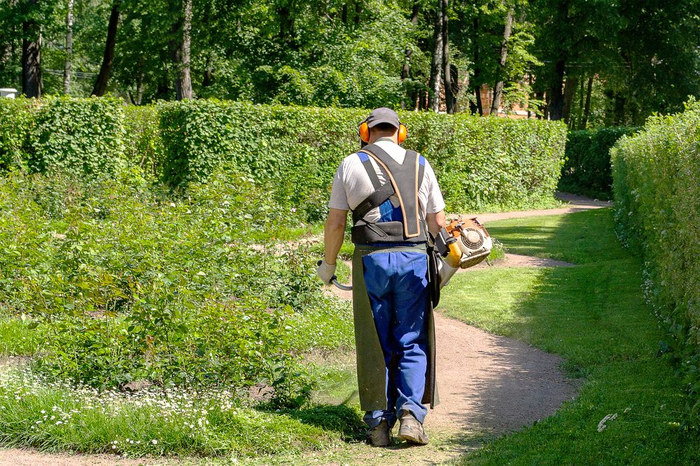 Photograph by Olga Smirnova