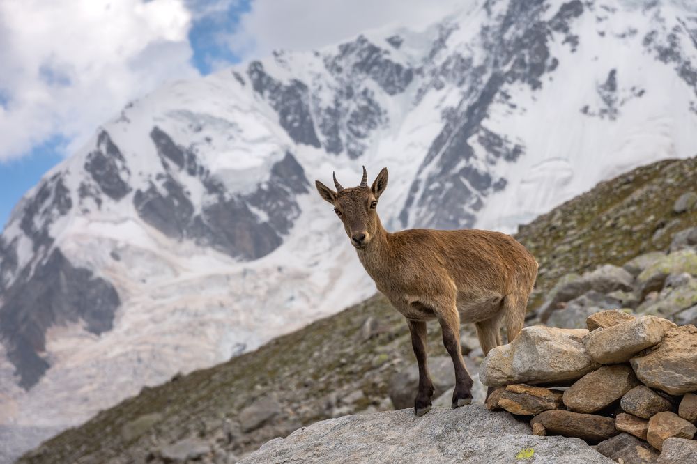 Photograph by Андрей Кулятин
