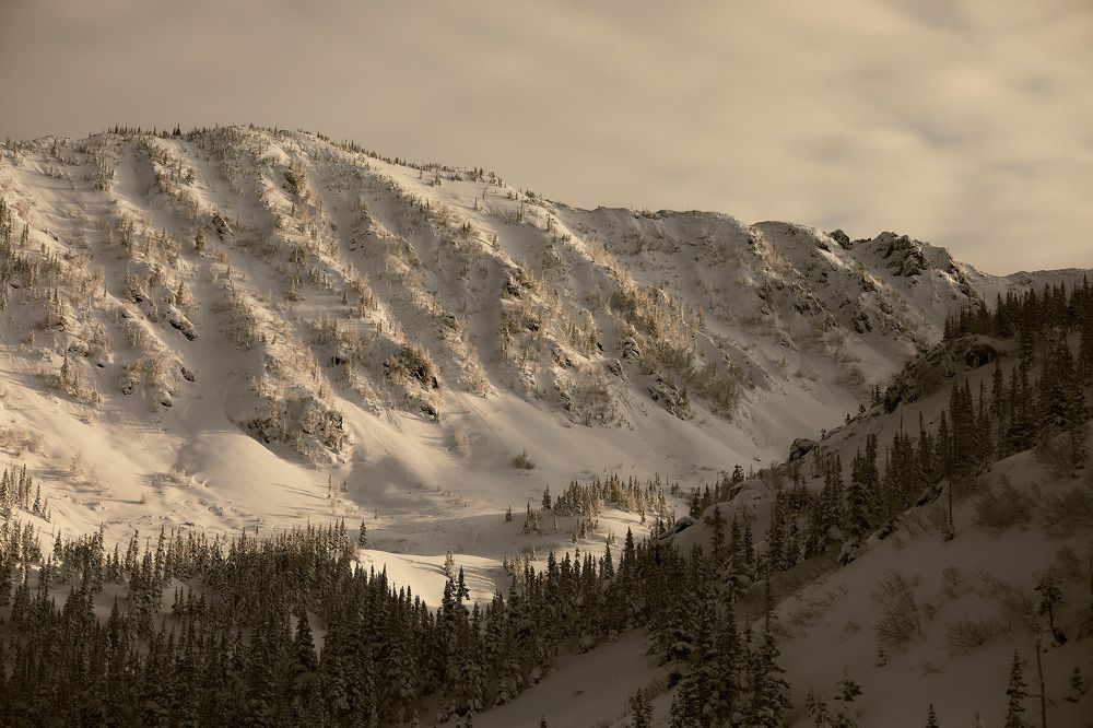 Photograph by Степан Чапоров