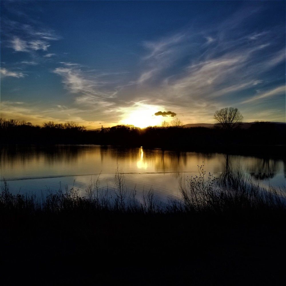 Photo #8538002