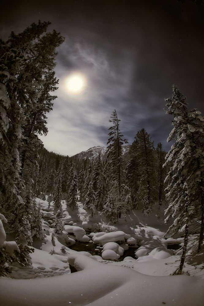 Photograph by Степан Чапоров