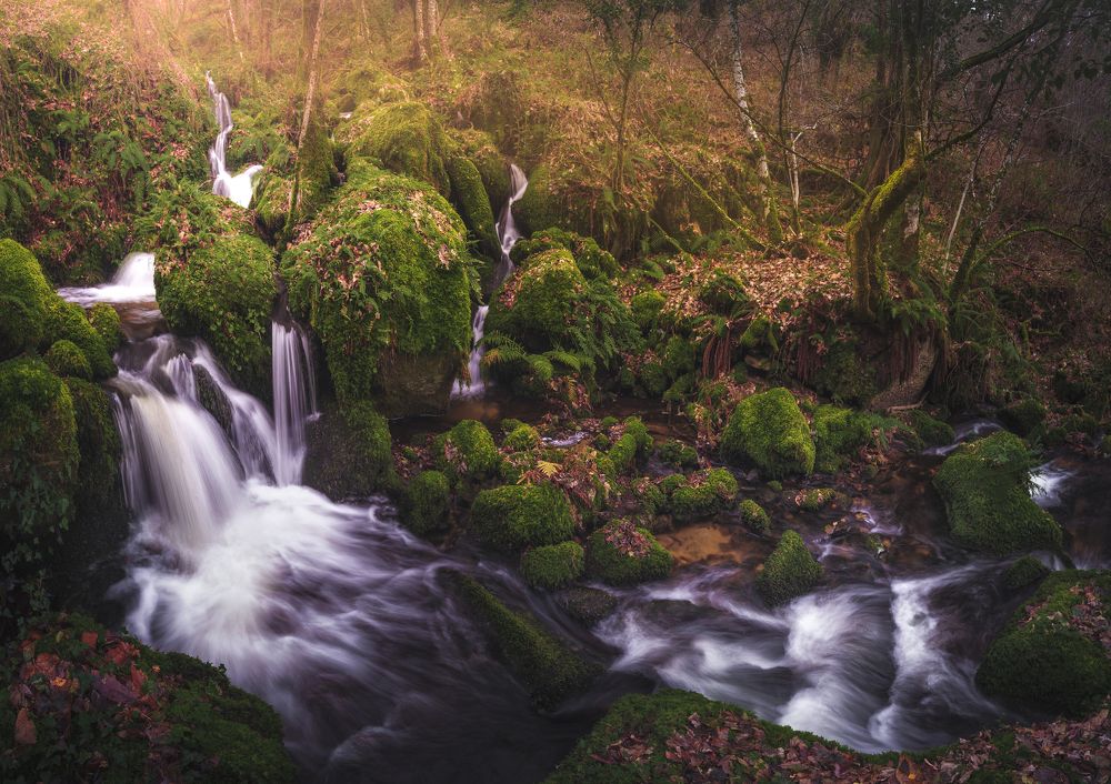 Photograph by Miguel Iglesias