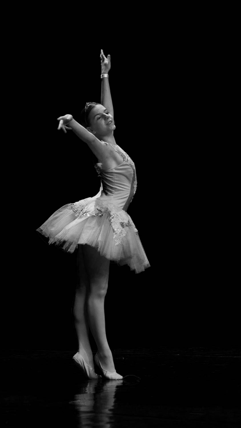 Photo #8538036