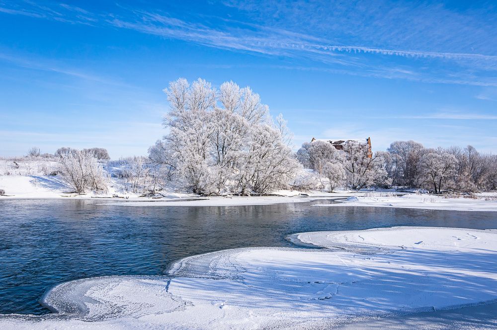 Фотография автора Николай Бологов