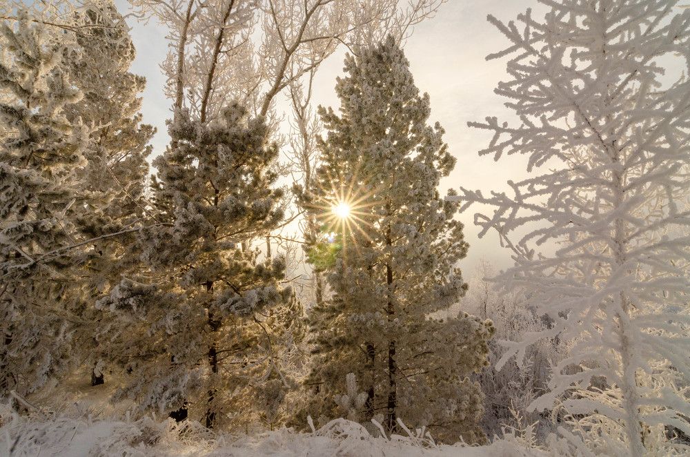 Photograph by Вадим Басов