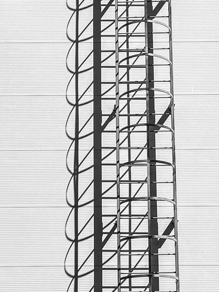 Photograph by Анастасия Ломаева