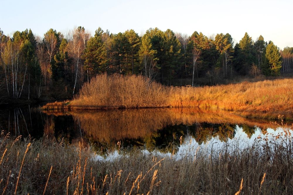 Photograph by Галина Мазур