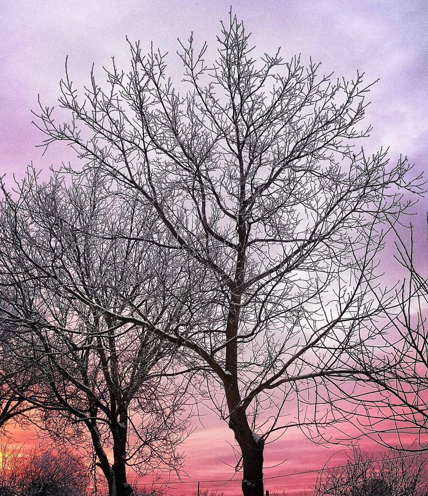 Photograph by Nikolett Mengyi