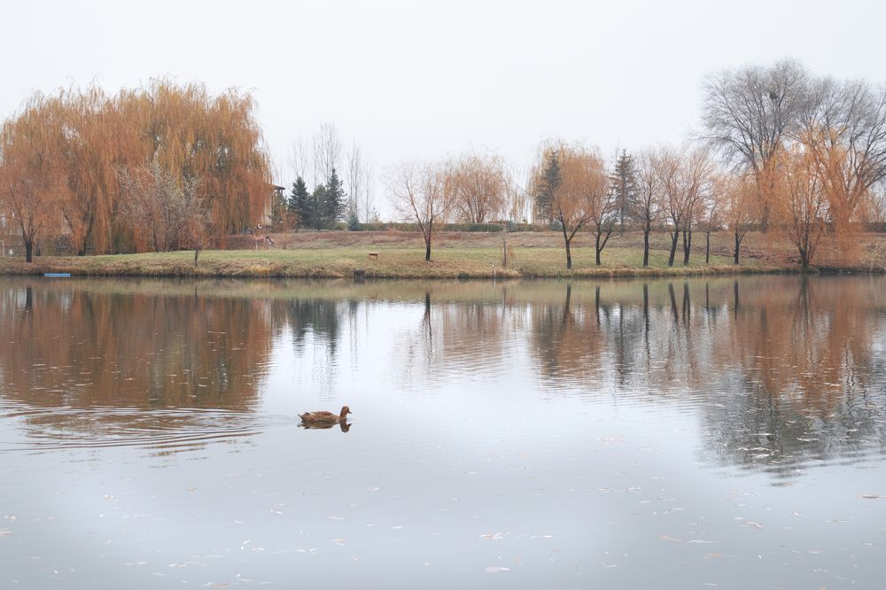 Photograph by Крыхтина Мария
