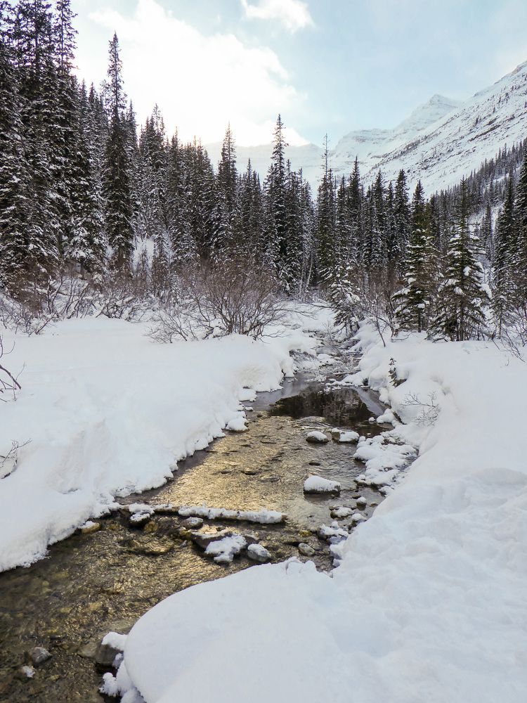 Photograph by Анатолий Костерев