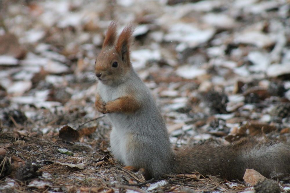 Photograph by Дмитрий Клопенков