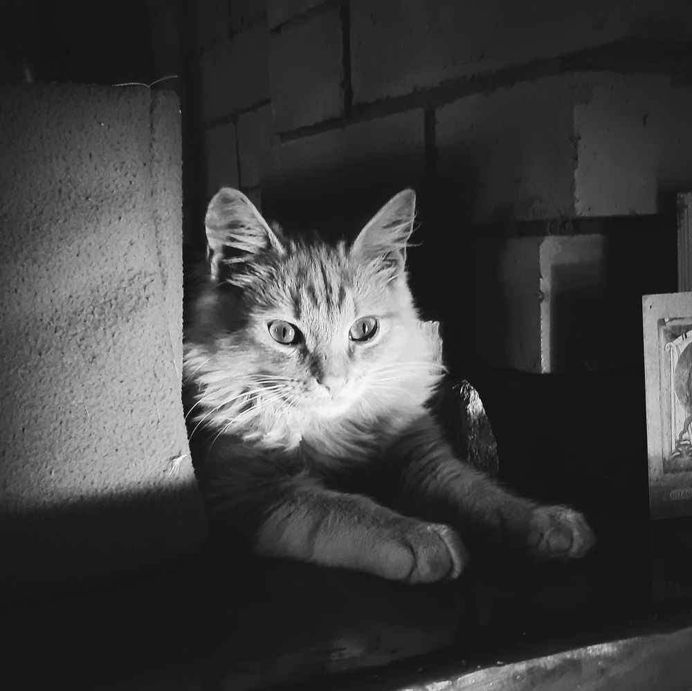 Photograph by Анна Печникова