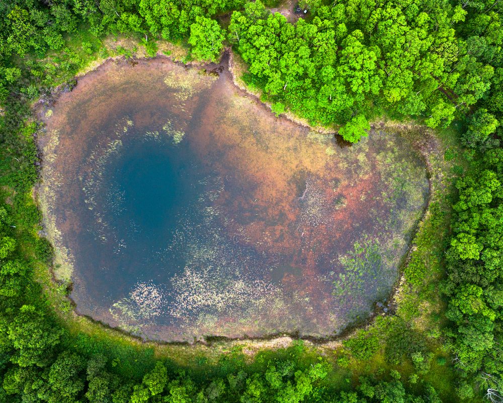 Photograph by Евгений Донских