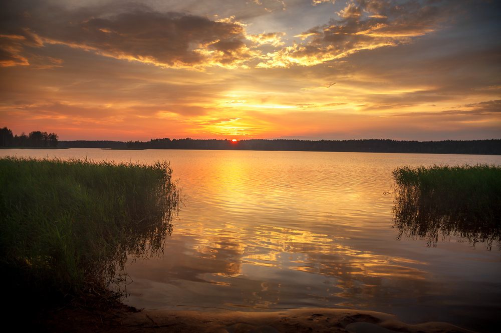 Photograph by Алексей Трифонов