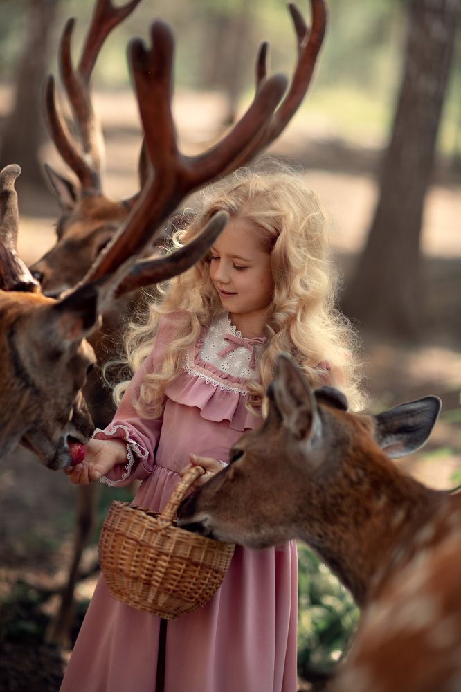 Фотография автора Светлана Черемных